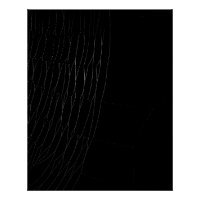 Close-up of White Web with Black Poster