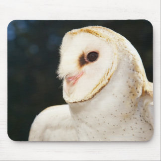 Close-up of wild owl mouse pad