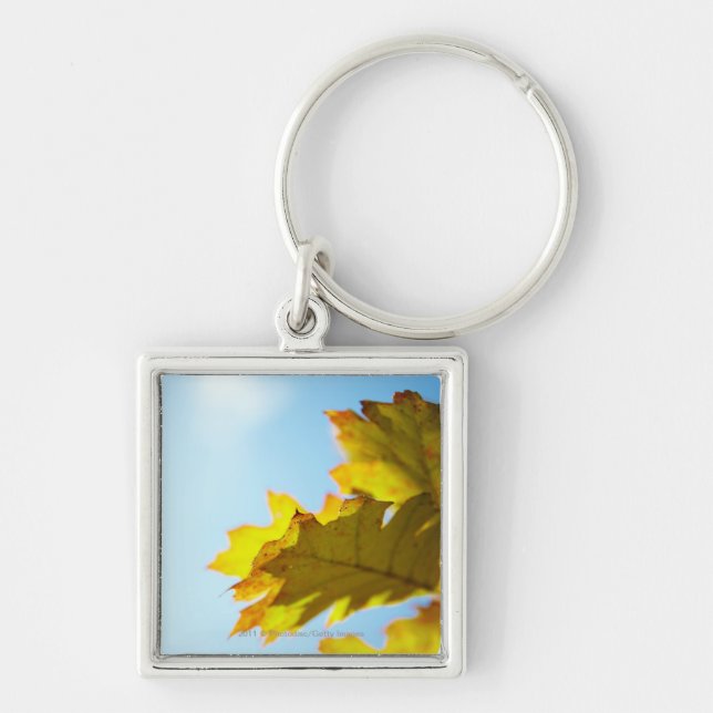 Close Up of Yellow Fall Leaves Keychain (Front)
