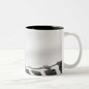 Close-up of zebra face and shoulder coffee mug