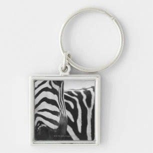 Close-up of zebra face and shoulder keychain