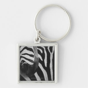 Close-up of zebra face and shoulder keychain