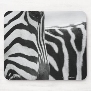 Close-up of zebra face and shoulder mouse pad