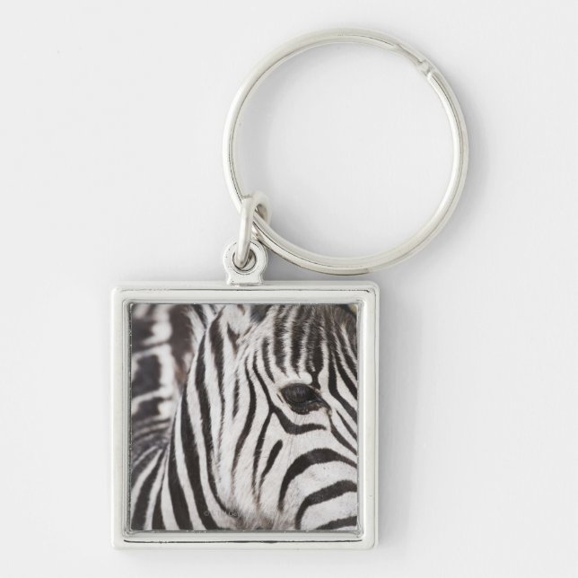 Close up of zebra keychain (Front)