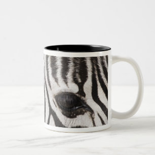 Close up of zebra Two-Tone coffee mug