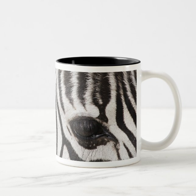 Close up of zebra Two-Tone coffee mug (Right)