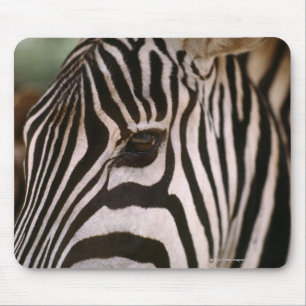 Close-up of zebra's head mouse pad