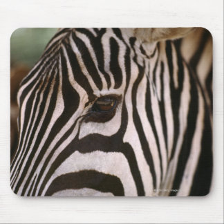 Close-up of zebra's head mouse pad