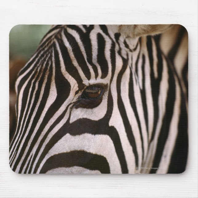Close-up of zebra's head mouse pad (Front)