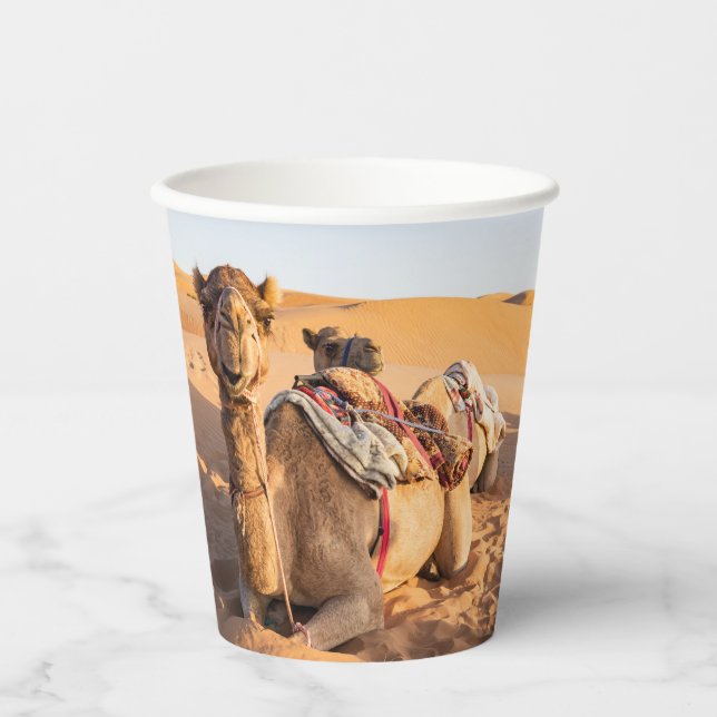 Close-up on Camel in Oman desert Paper Cups (Front)
