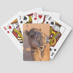Close-up on funny camel head in Oman Wahiba desert Playing Cards