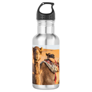 Close-up on funny camel in Oman Wahiba desert 532 Ml Water Bottle