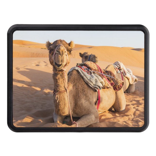 Close-up on funny camel in Oman Wahiba desert Trailer Hitch Cover (Front)