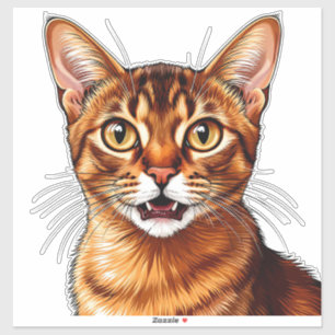 Close-Up Orange Tabby Abyssinian Cat Portrait