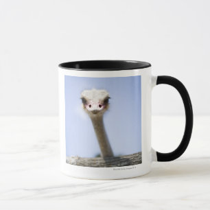 Close up Ostrich head Mug
