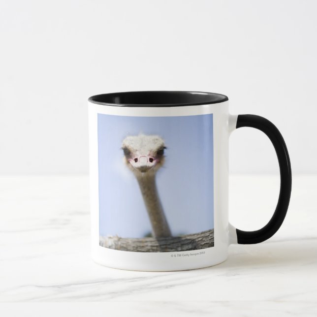 Close up Ostrich head Mug (Right)