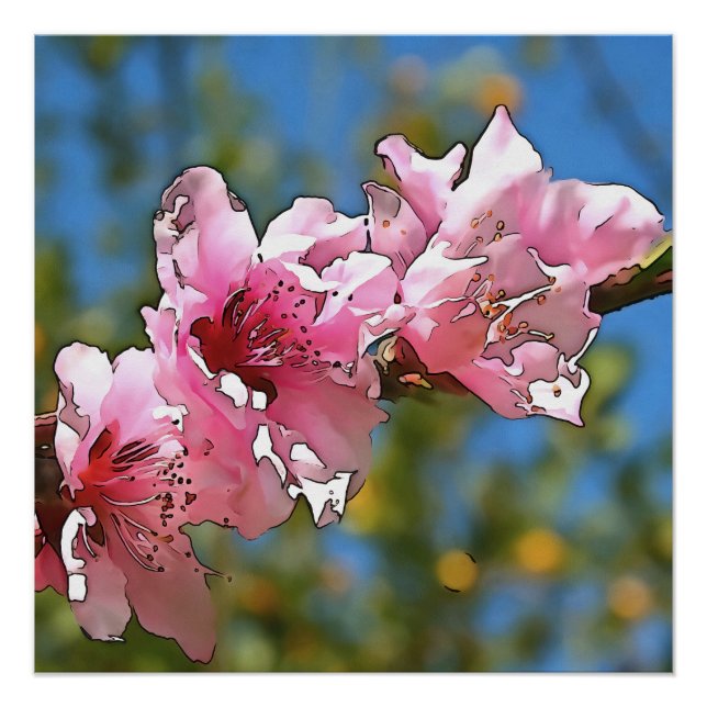 Close Up Peach Tree Blossom Black Outline Art Poster (Front)