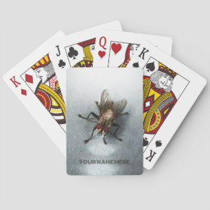 Close-up photo of a fly playing cards