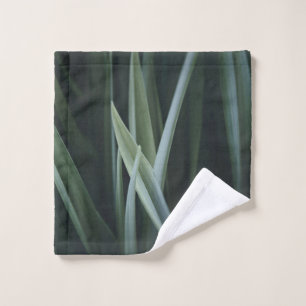 Close up photo of green linear leaves wash cloth