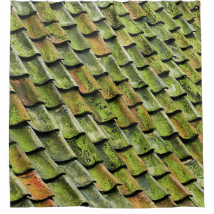 Close-up photo of green shingle roof