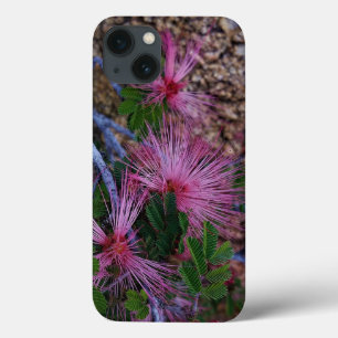 Close-Up Photo Of Pink Fairy Duster Flowers iPhone 13 Case