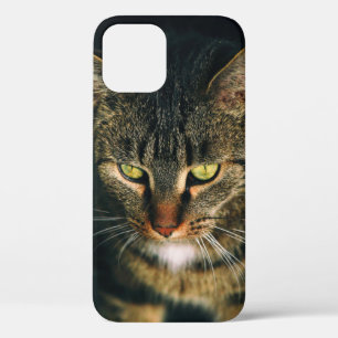 CLOSE-UP PHOTOGRAPHY OF GRAY TABBY CAT iPhone 12 CASE