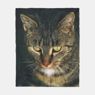 CLOSE-UP PHOTOGRAPHY OF GRAY TABBY CAT FLEECE BLANKET