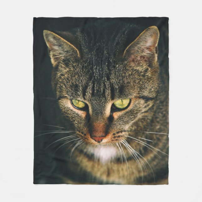 CLOSE-UP PHOTOGRAPHY OF GRAY TABBY CAT FLEECE BLANKET (Front)