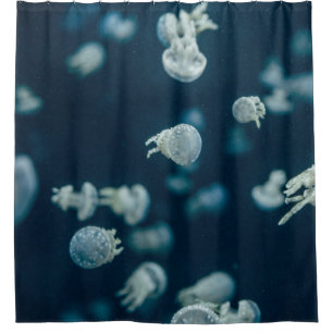 CLOSE-UP PHOTOGRAPHY OF JELLYFISH