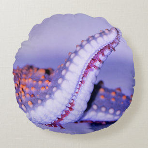 Close up photography of starfish round pillow