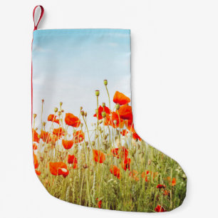 Close up poppies on field. Wild flowers in springt Small Christmas Stocking