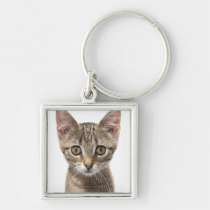 Close up portrait of a kitten keychain