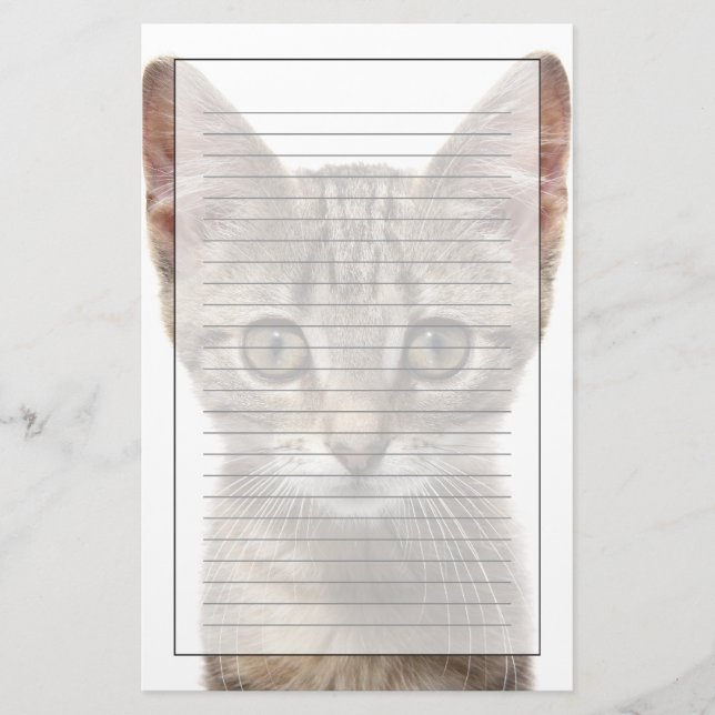 Close up portrait of a kitten stationery (Front)