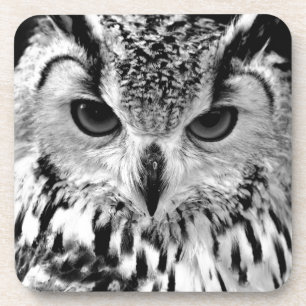 Close Up Portrait Of Eurasian Eagle-owl Coaster