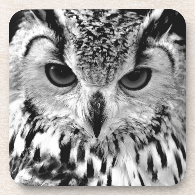 Close Up Portrait Of Eurasian Eagle-owl Coaster (Front)