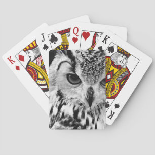 Close Up Portrait Of Eurasian Eagle-owl Playing Cards