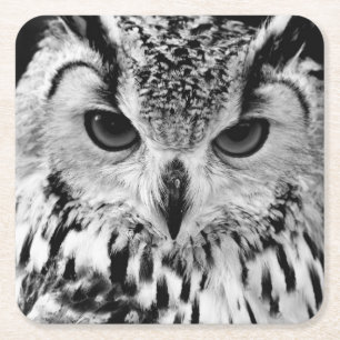 Close Up Portrait Of Eurasian Eagle-owl Square Paper Coaster