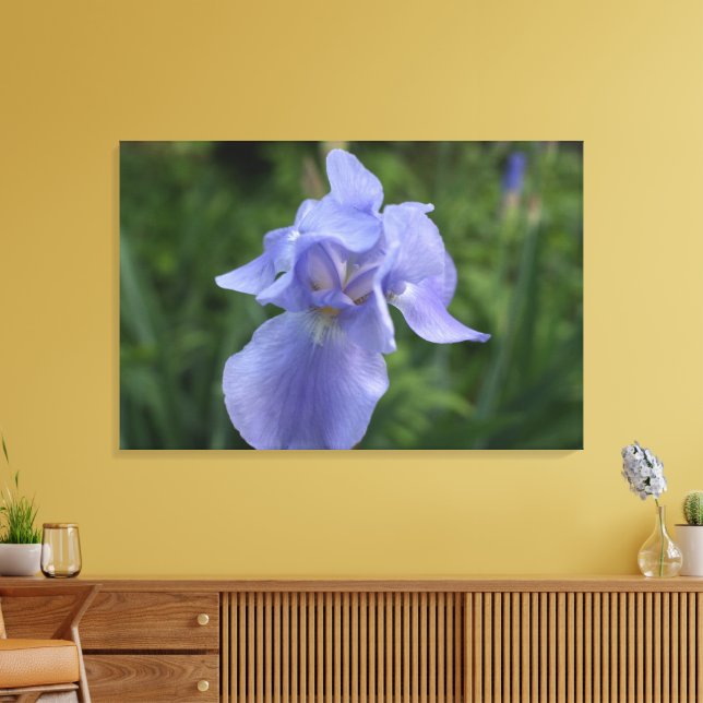 Close-up Purple Iris Flower Canvas (Insitu(LivingRoom))