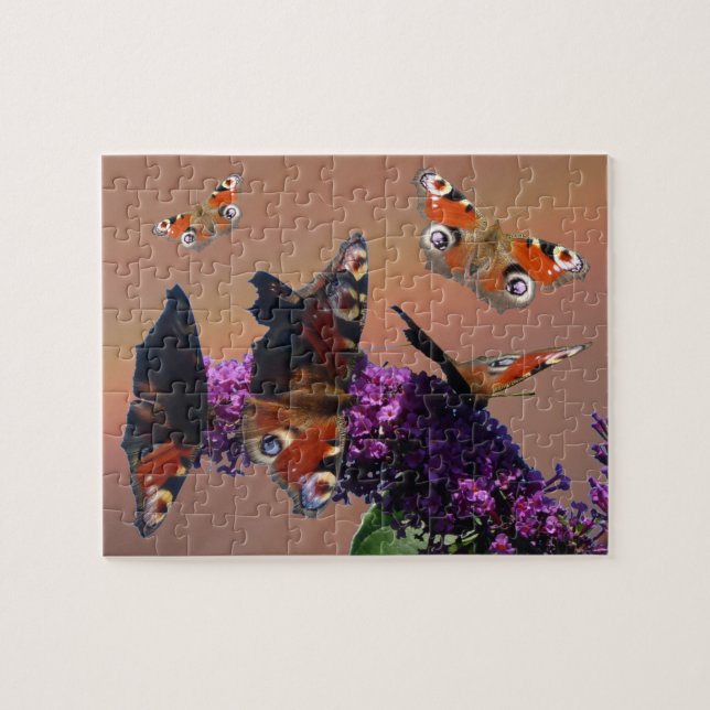 Close up Puzzle: Peacock Butterflies Jigsaw Puzzle (Horizontal)