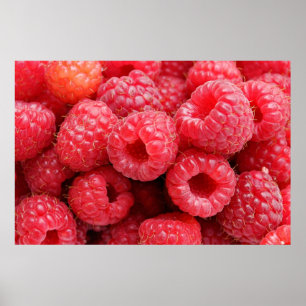 Close Up Raspberry Background Texture Raspberries Poster