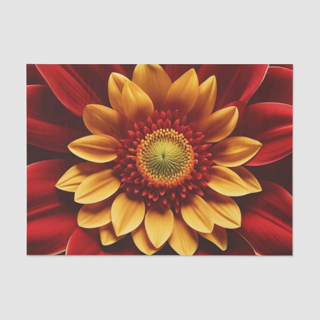 Close Up Red And Yellow Flower Tissue Paper (Front)