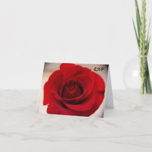 Close Up Red Rose RSVP Invitation