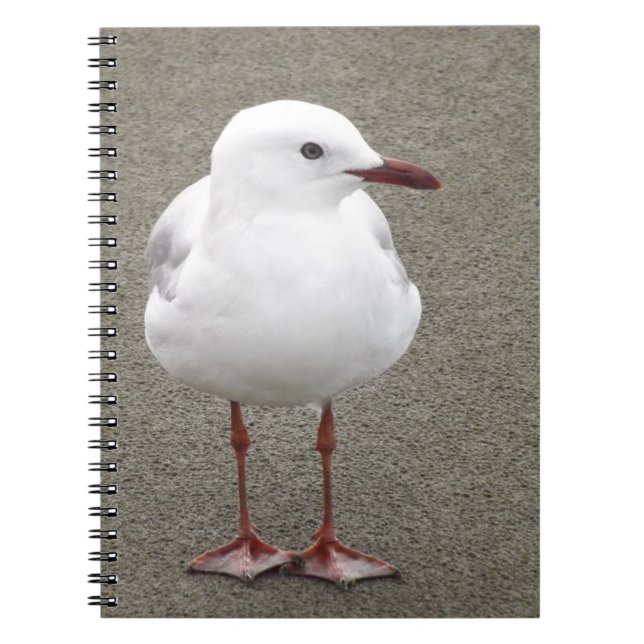 Close Up Seagull Notebook (Front)