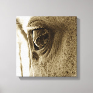 Close-up Sepia Image of a Dappled Grey Horse's Eye Canvas Print