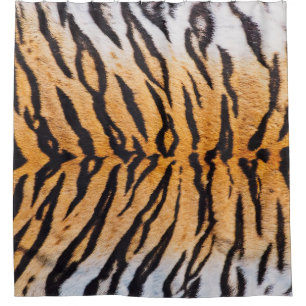 Close-Up Shot of Real Indo-Chinese Tiger (Panthera