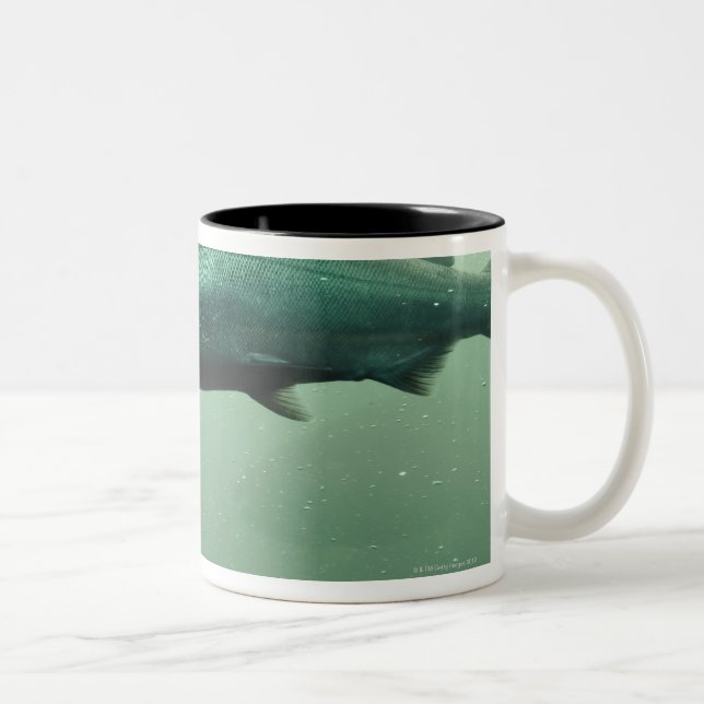 Close up shot of salmon running Two-Tone coffee mug (Right)