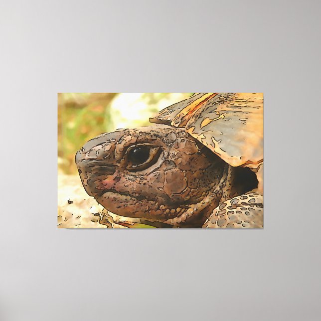 Close Up Side Portrait Of A Turkish Tortoise Canvas Print (Front)