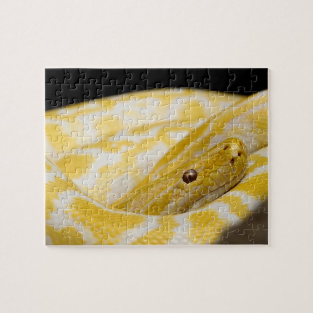 Close-up Snake Photo Jigsaw Puzzle (Horizontal)