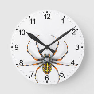 Close-up Spider Isolated-23983 Denim Jacket Round Clock