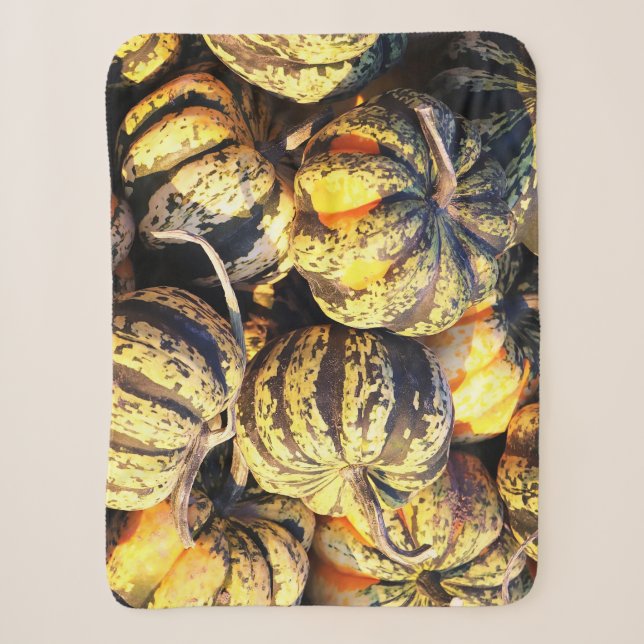 Close Up Stripey Pumpkins  Sherpa Blanket (Front)